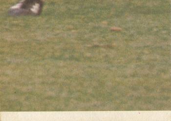 1973 Scanlens VFL #18 Barry Breen Back